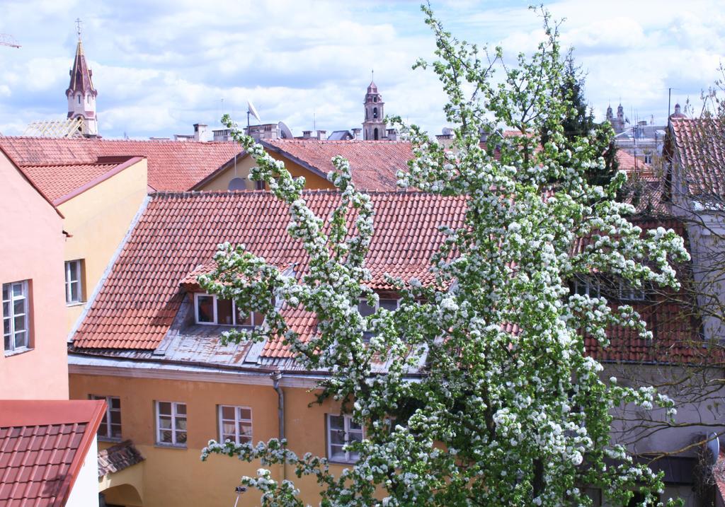Old Town Apartment Antokolskio Вильнюс Экстерьер фото